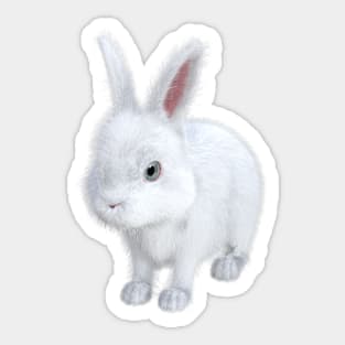 Pufflet Bunny Sticker